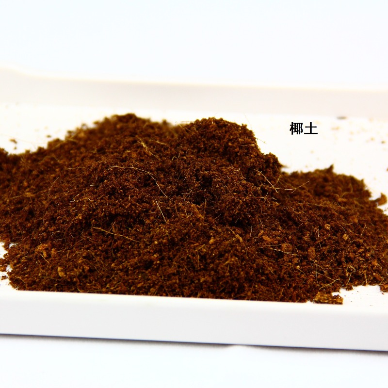 Coconut Soil Brick Reptile Sub - Sphagnum Moss Dry review and price