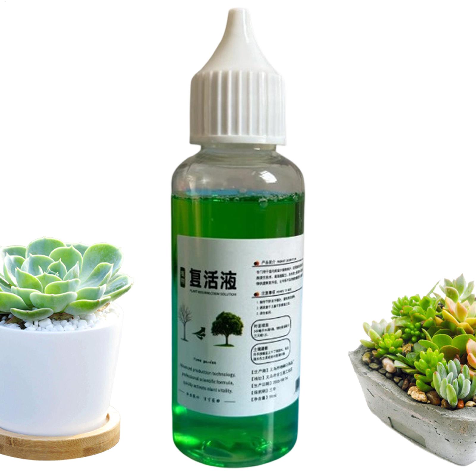 Root Stimulator for Plants Liq - Root Stimulator Liquid review and price