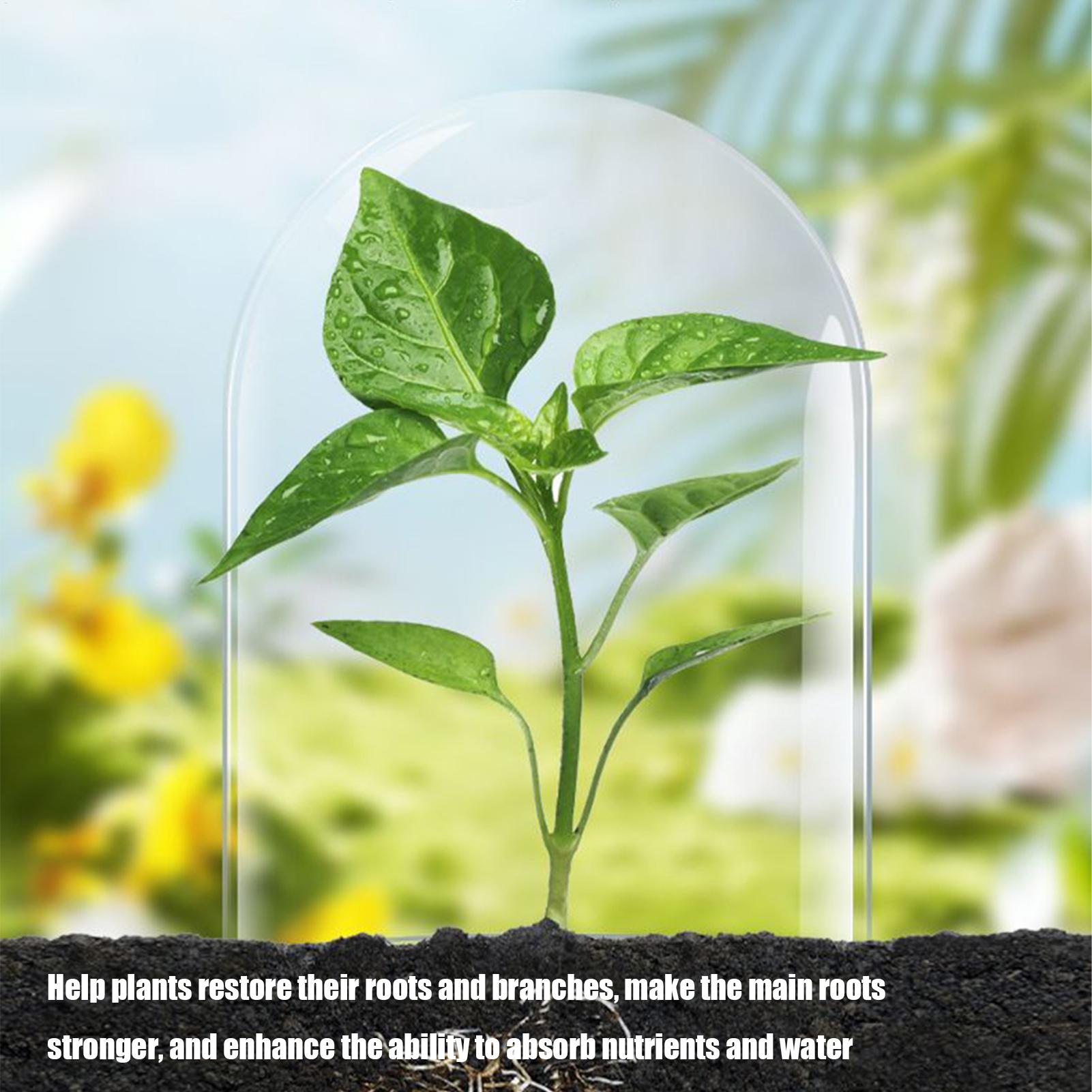 Root Stimulator for Plants Liq - Root Stimulator Liquid review and price