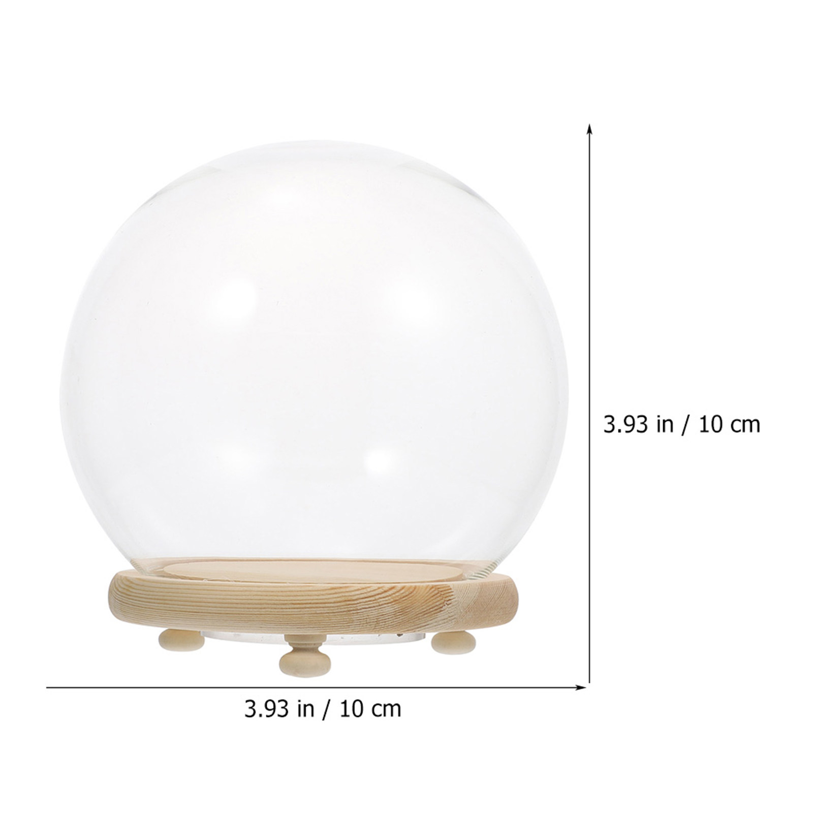 Preserved Flower Glass Dome Cl - Plastic Dome Clear review and price