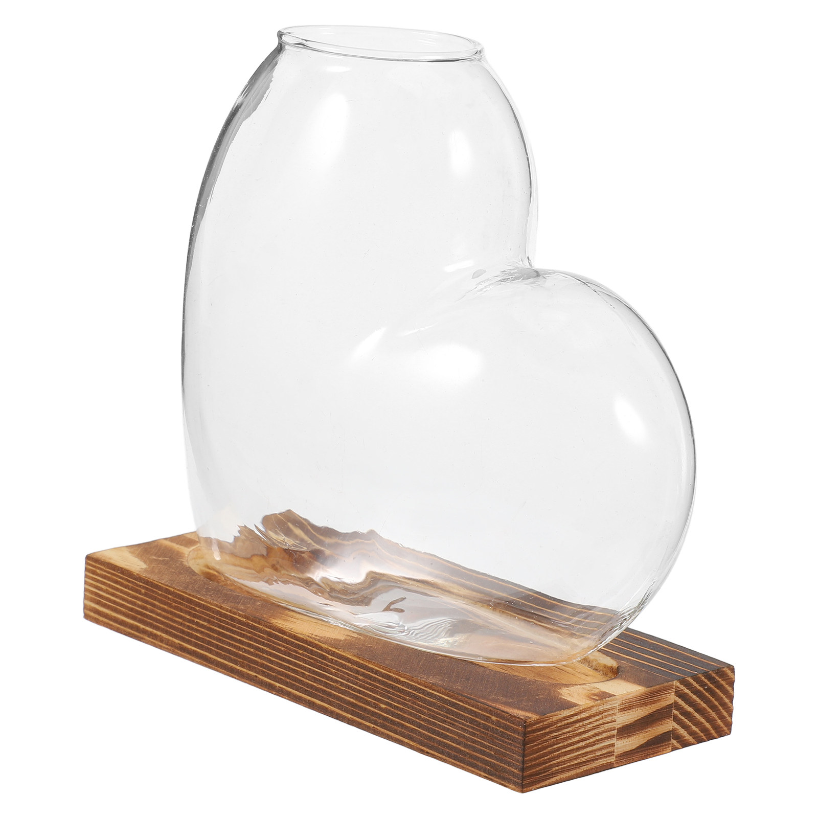 Hydroponic Glass Vase Transpar - Propagation Station Vase review and price