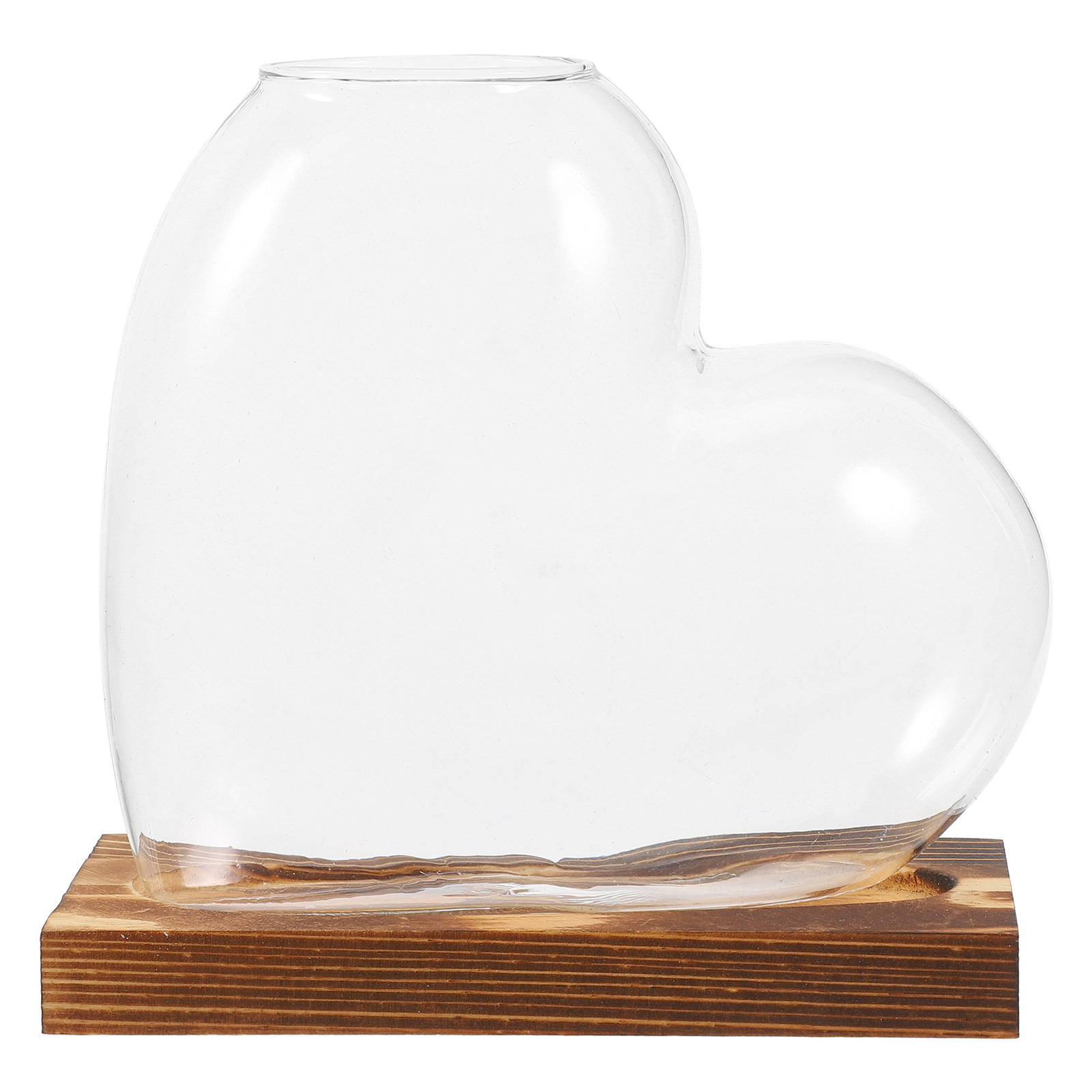 Hydroponic Glass Vase Transpar - Propagation Station Vase review and price