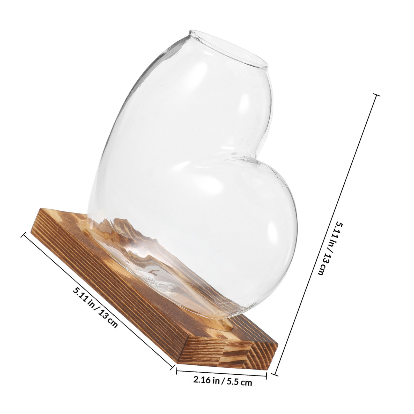 Hydroponic Glass Vase Transpar - Propagation Station Vase review and price