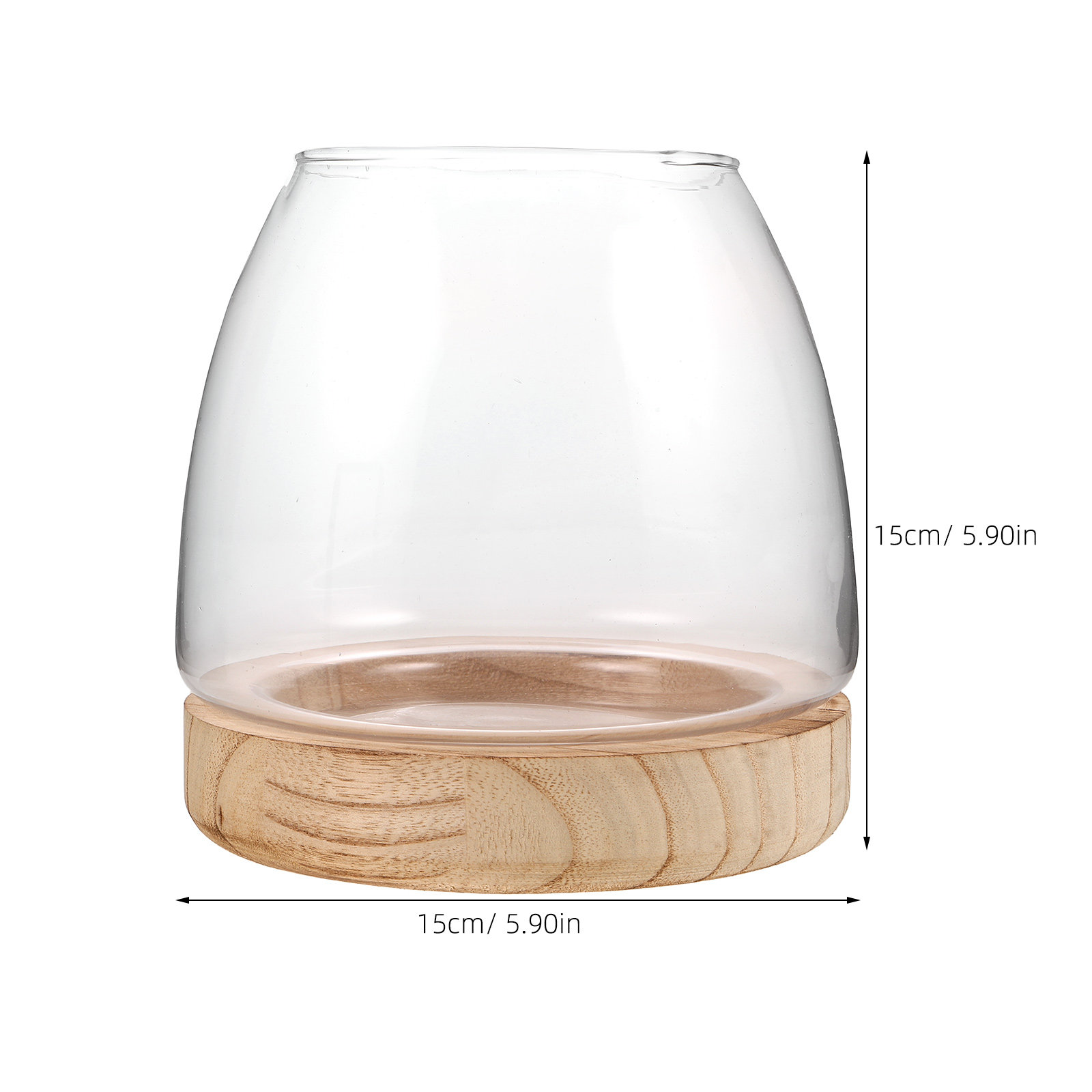 Hydroponic Plant Vase Small Gl - Propagation Station Vase review and price