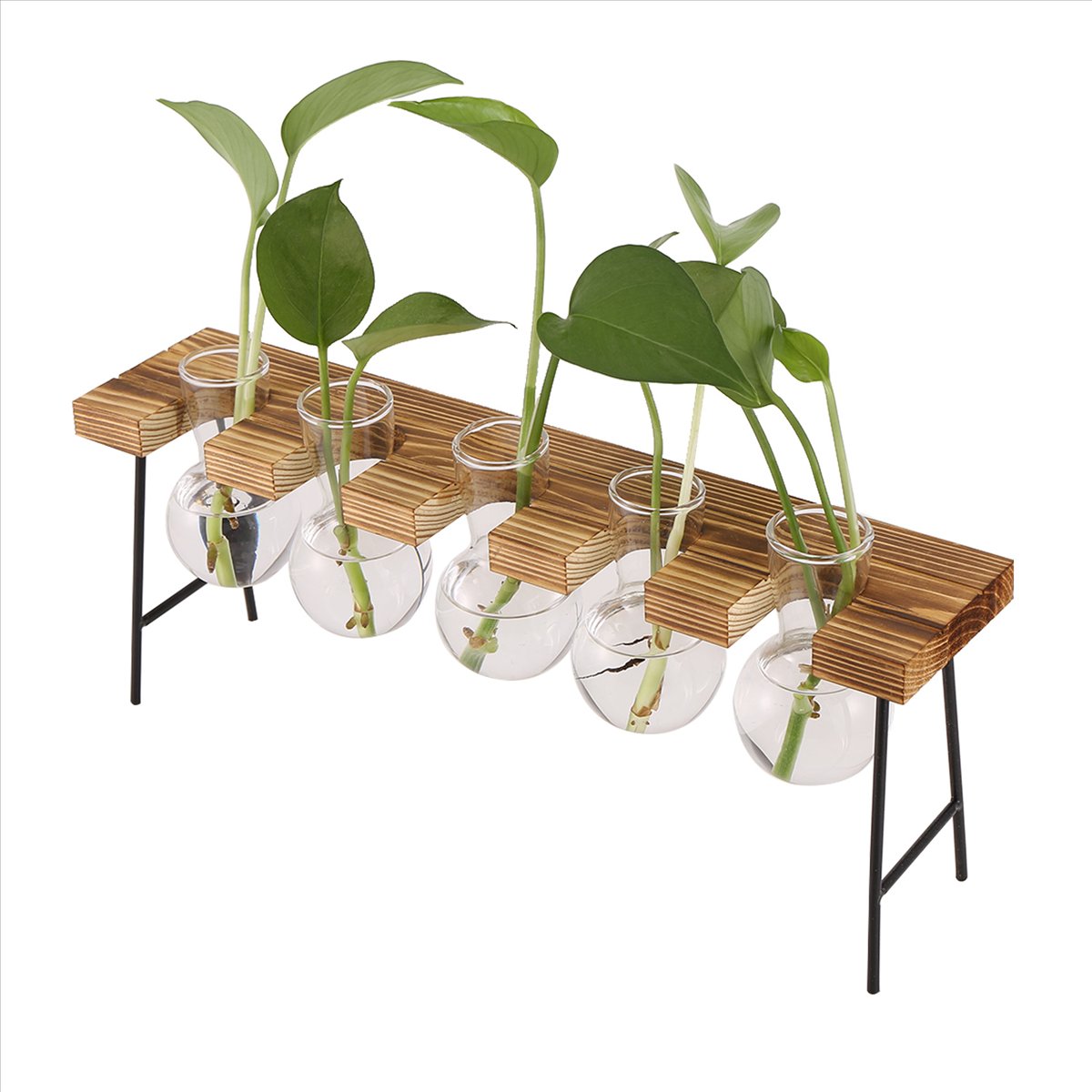 ABFS Propagation Stations Desk - Propagation Station Vase review and price