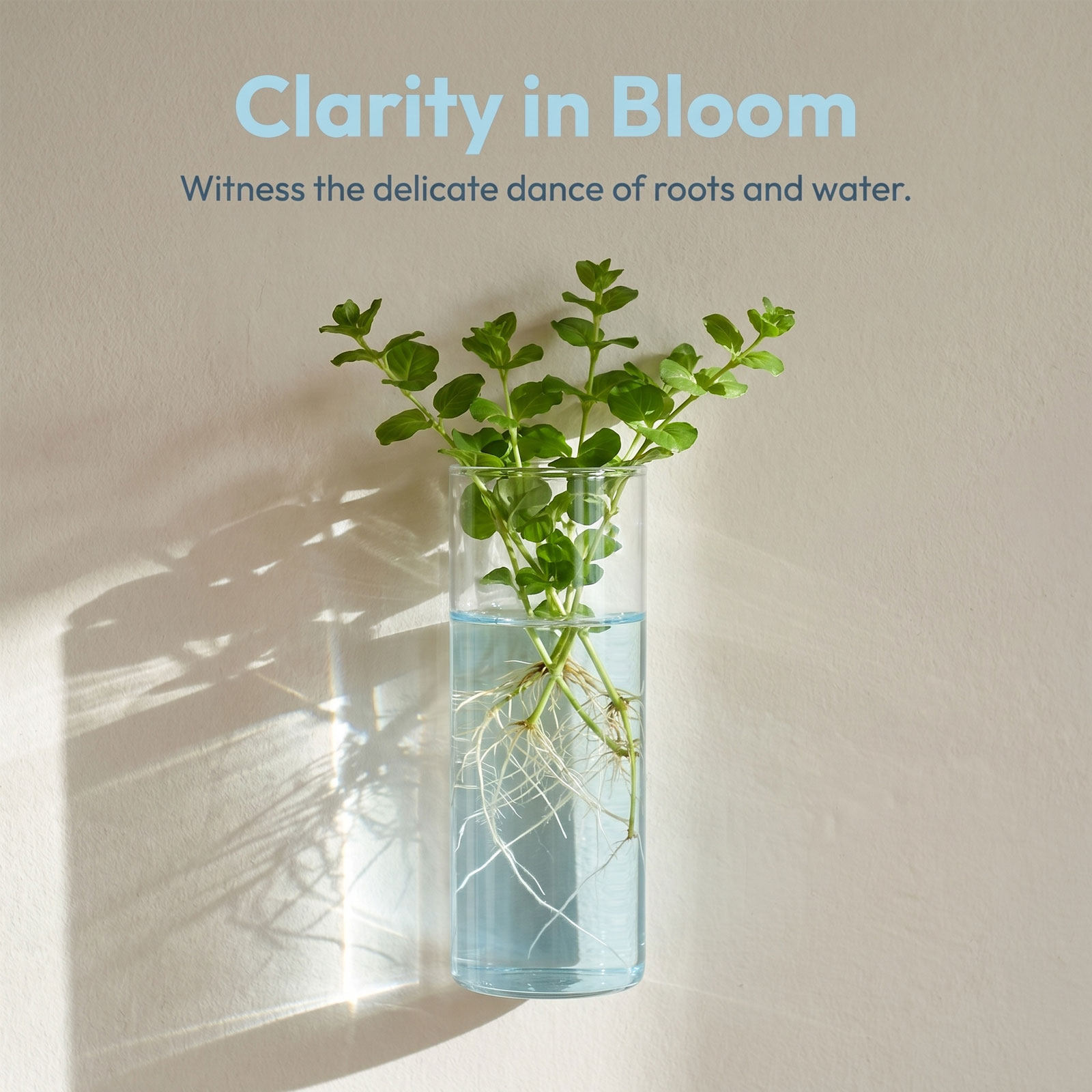 5Pcs Wall Planter Cylinder Gla - Propagation Station Vase review and price